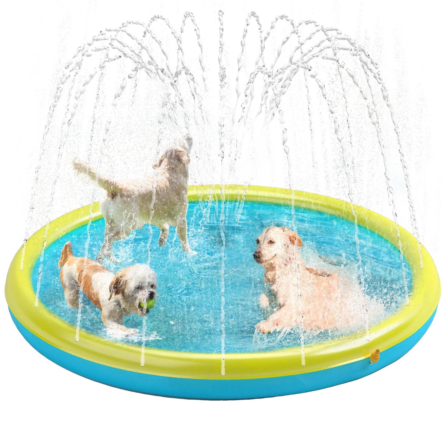 AquaPaws Splash N' Play Sprinkler Pad