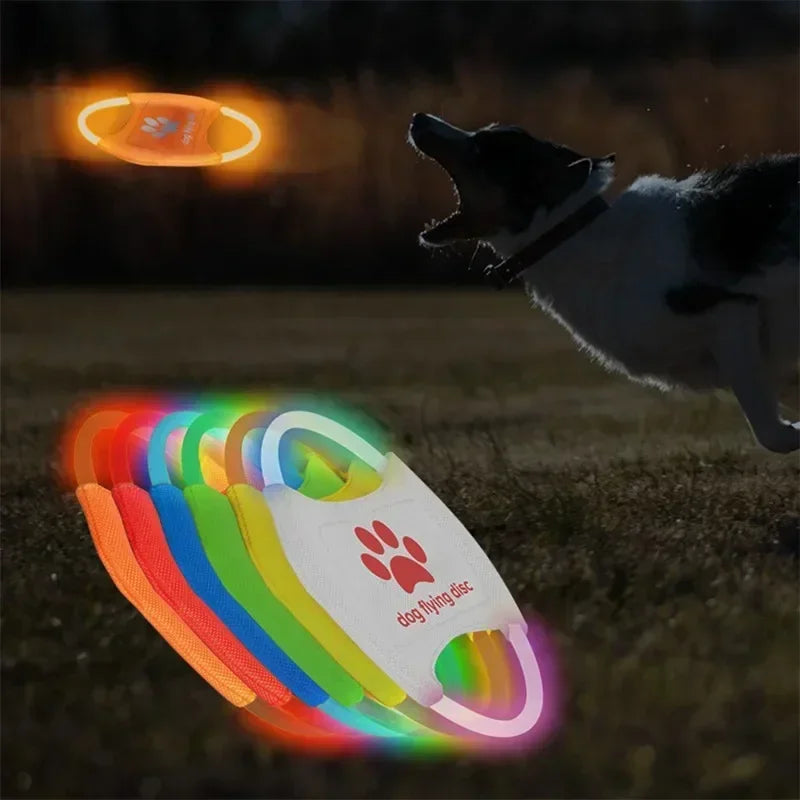 GlowFetch LED Dog Flying Disc