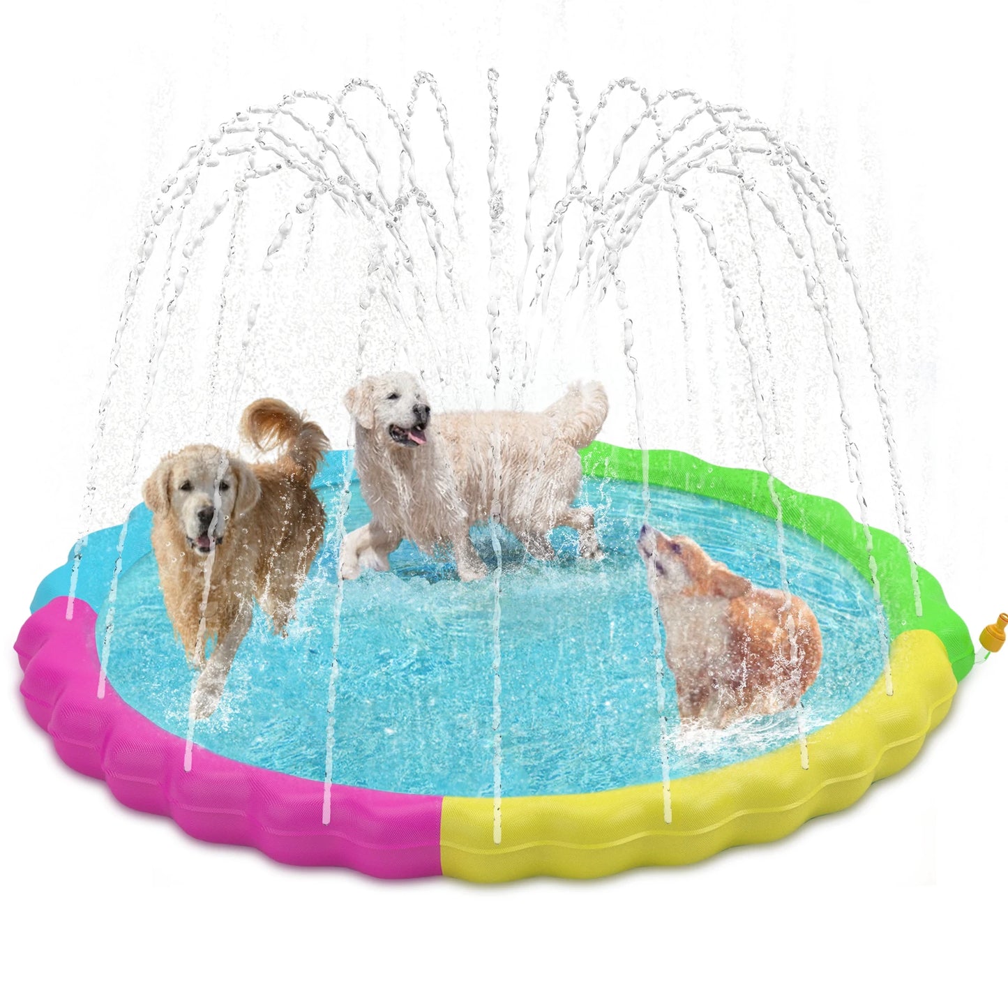 AquaPaws Splash N' Play Sprinkler Pad