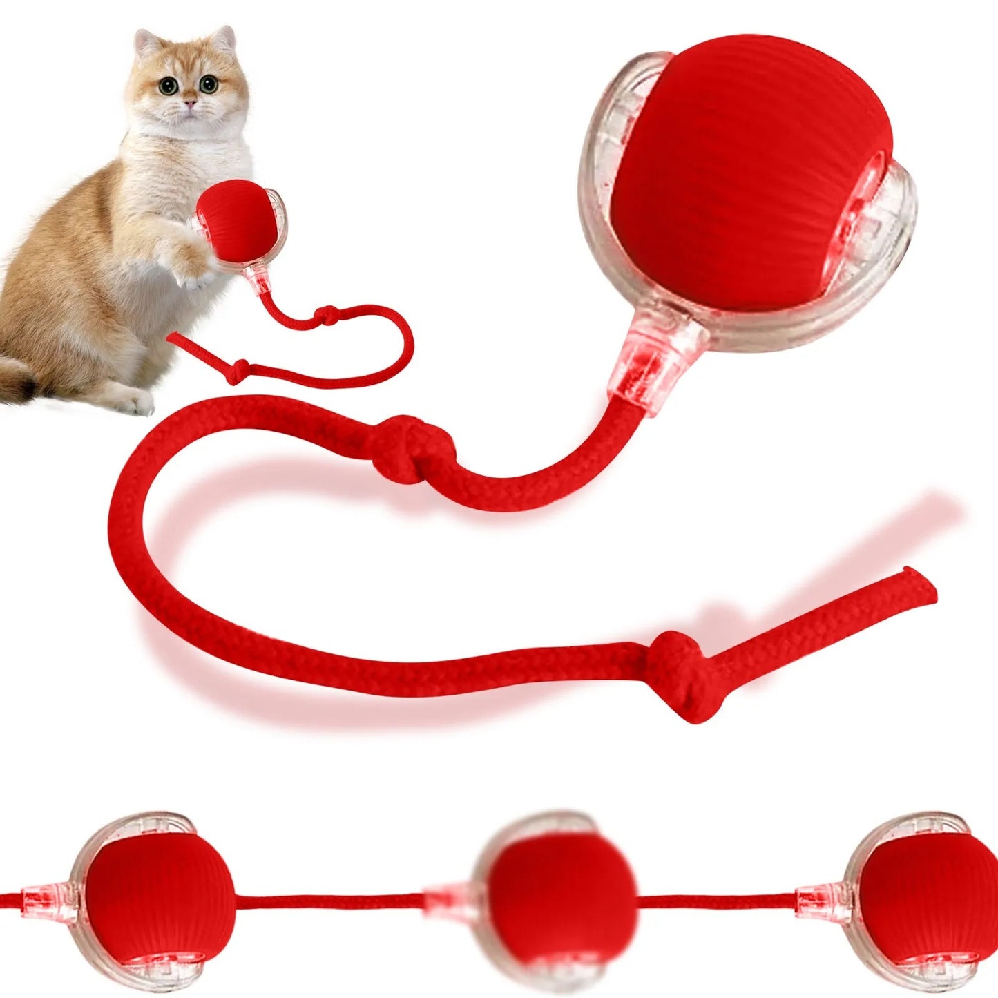 TailChaser Smart Pet Interactive Automatic Rolling Ball