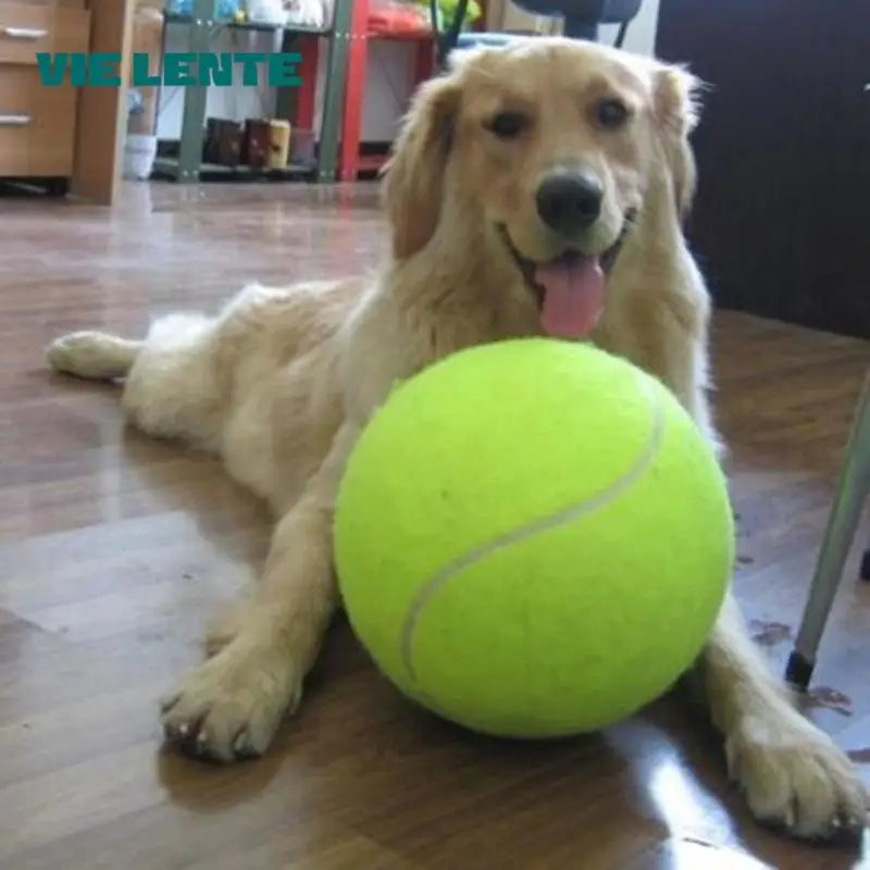 Is Your Pup Ready for the Ultimate Playtime Upgrade? Meet the JumboPup™ Mega Tennis Ball!