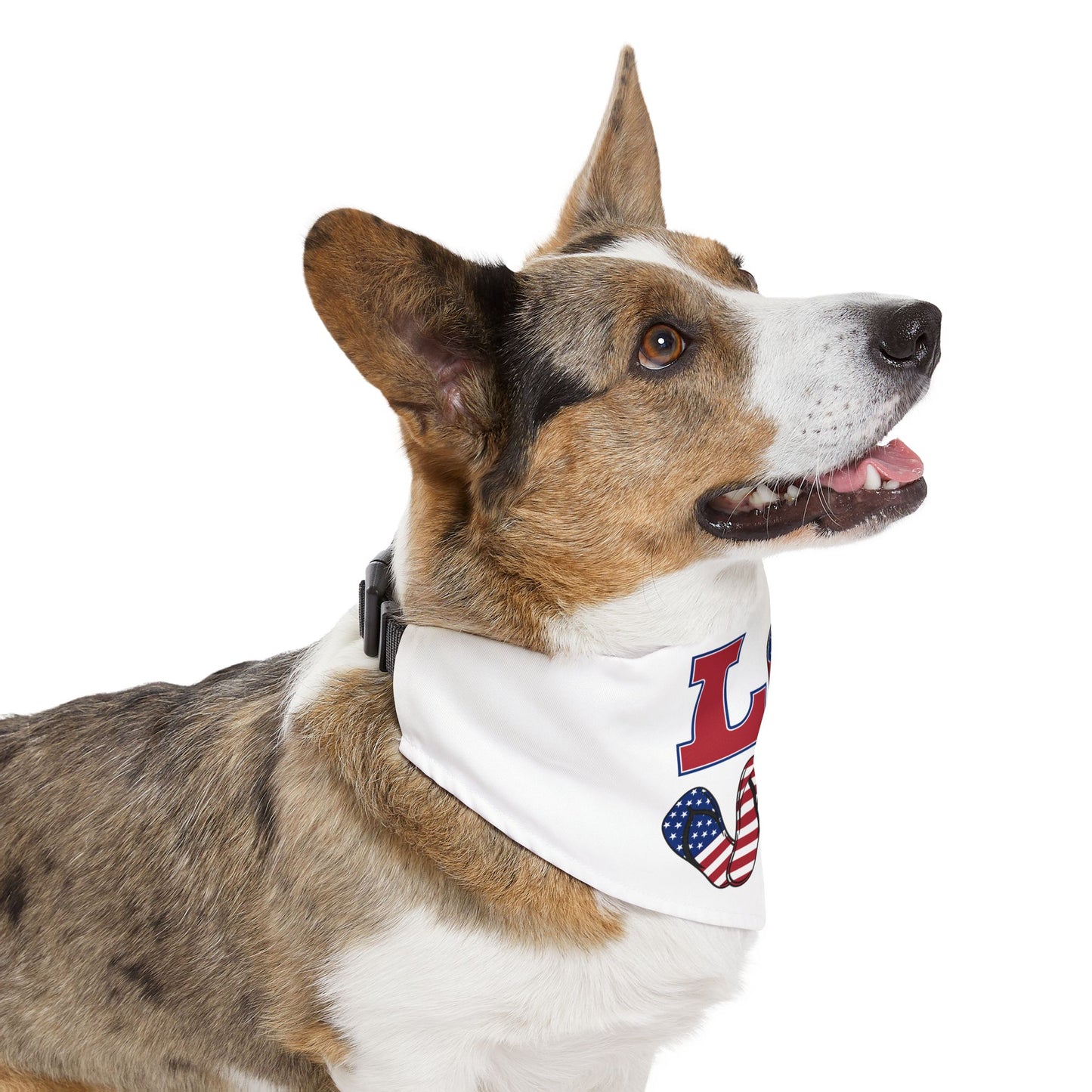 LOVE Pet Bandana Collar - Donut Drop Edition (Matching Hooman Tank Top Available)