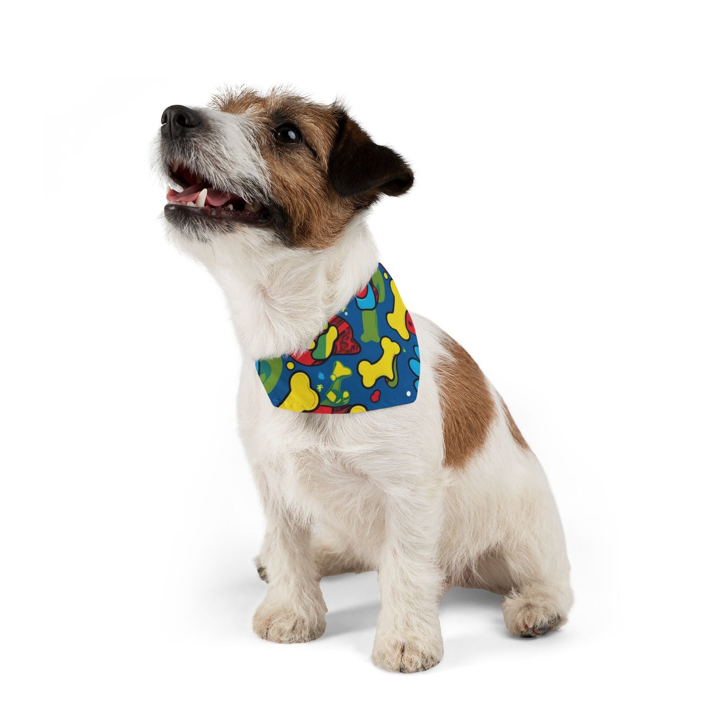 Bone-A-Fide Style: Colorful Dog Collar Bandana