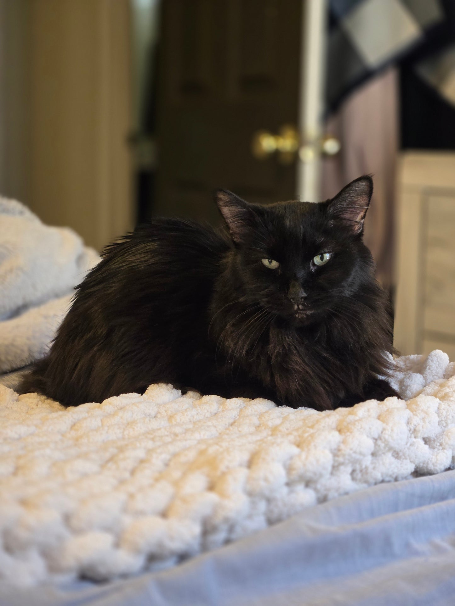 The Nimbus Throw | Hand Knit Cozy Blanket by Milton & Neo