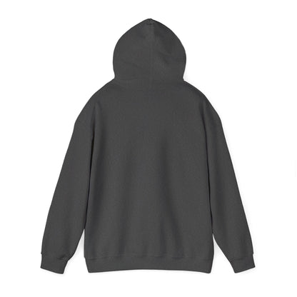Heart & Paw Unisex Hoodie, Animal Lover Gift, Cozy Sweatshirt, Cute Pet Lover Hoodie
