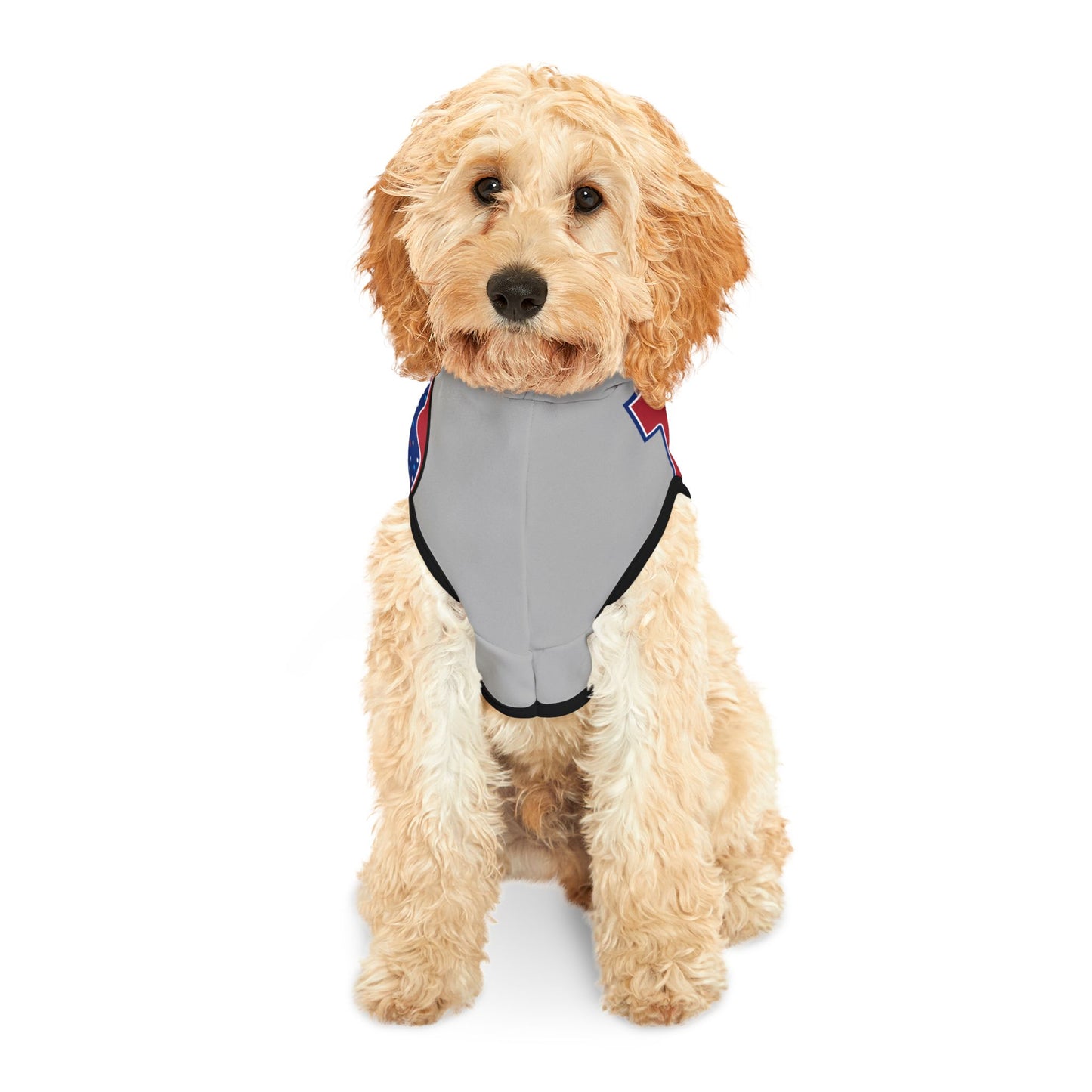 LOVE Pet Hoodie - Donut Drop Edition
