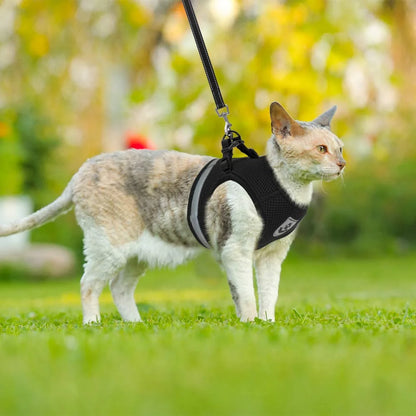 LuxPaws EscapeGuard Pet Harness and Leash Set