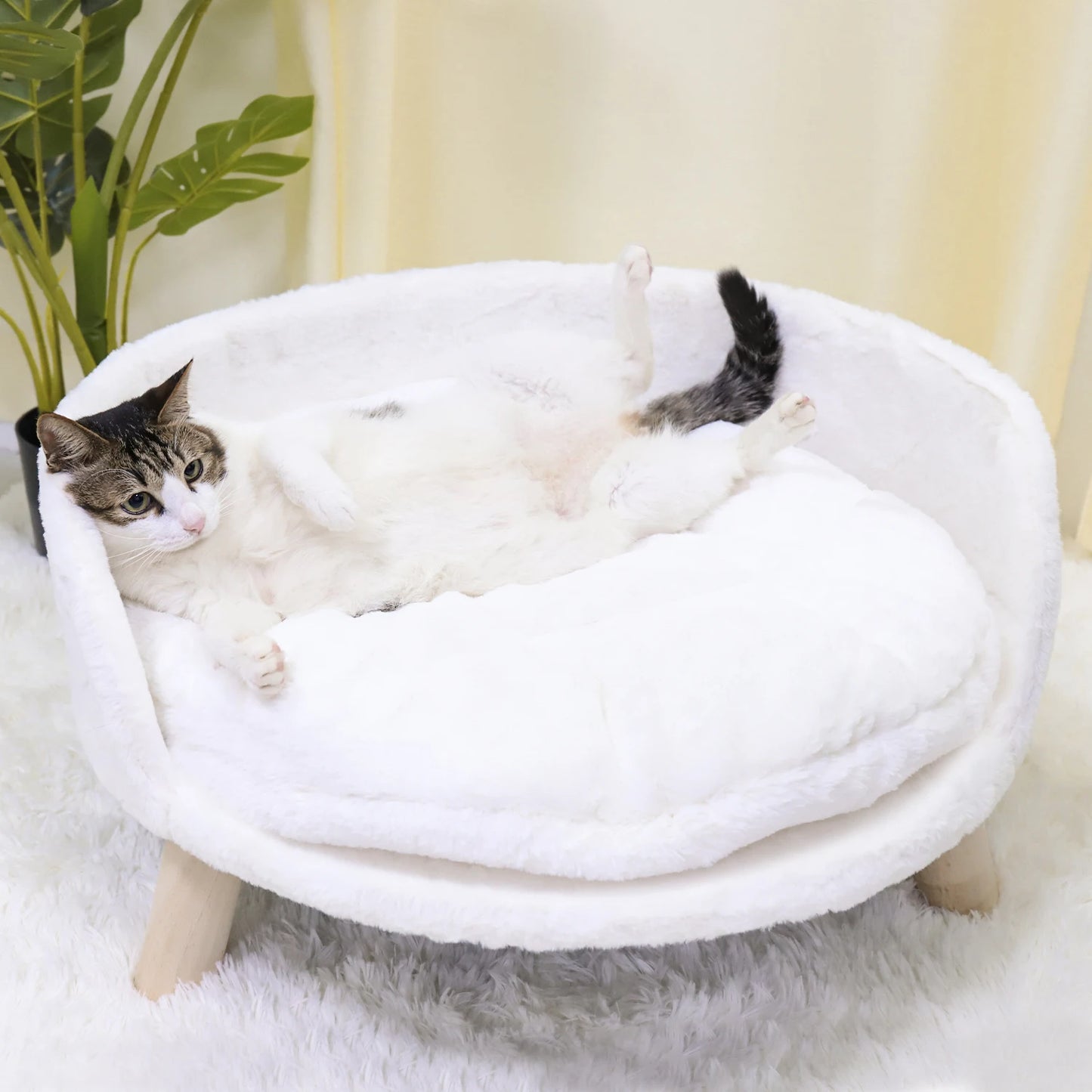 Cozy Paws Elevated Pet Lounger