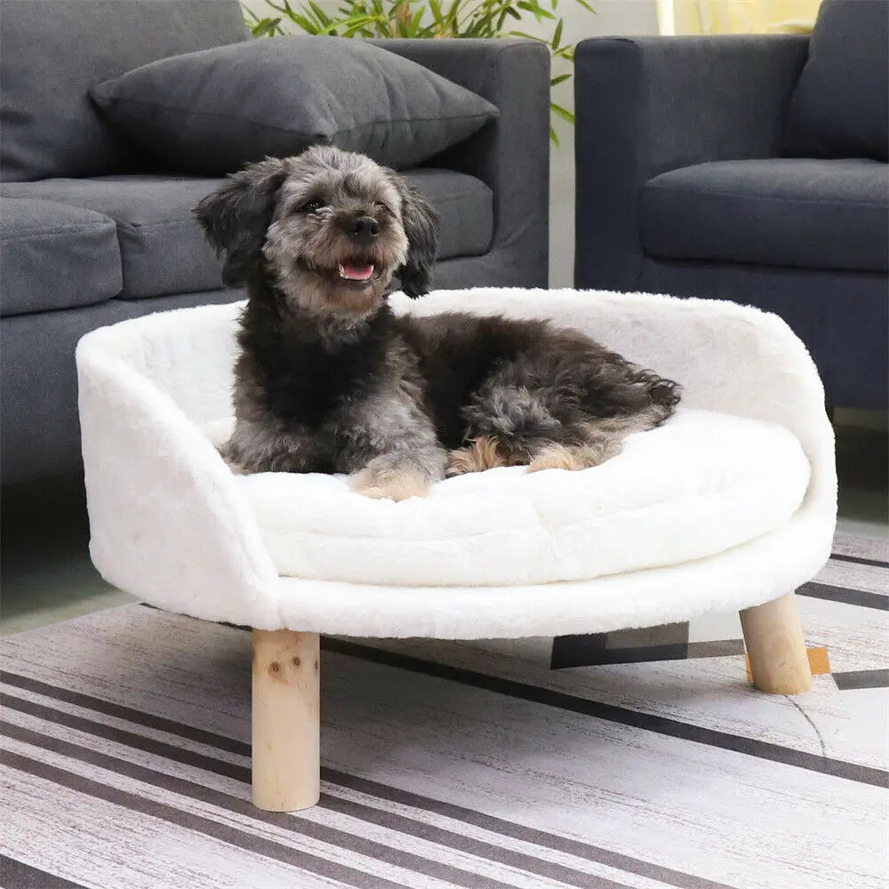 Cozy Paws Elevated Pet Lounger