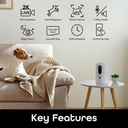 Smart Pet Treat Dispenser with Camera and Voice by Geeni