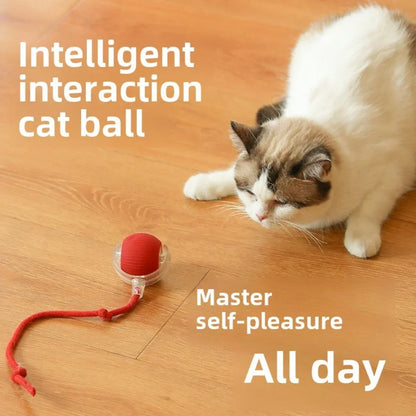 TailChaser Smart Pet Interactive Automatic Rolling Ball