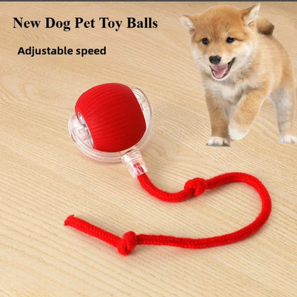 TailChaser Smart Pet Interactive Automatic Rolling Ball