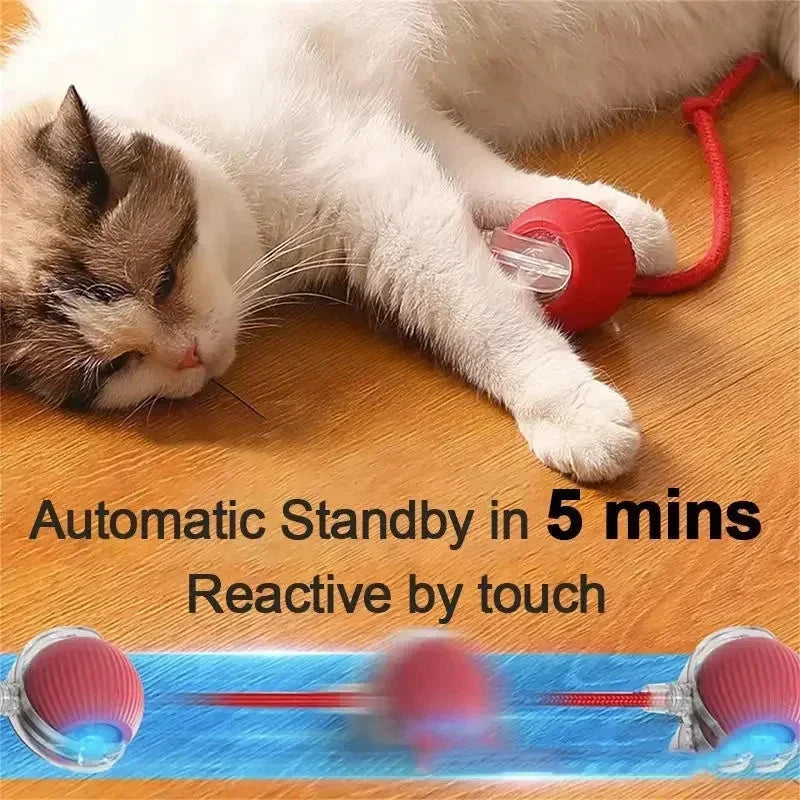 TailChaser Smart Pet Interactive Automatic Rolling Ball