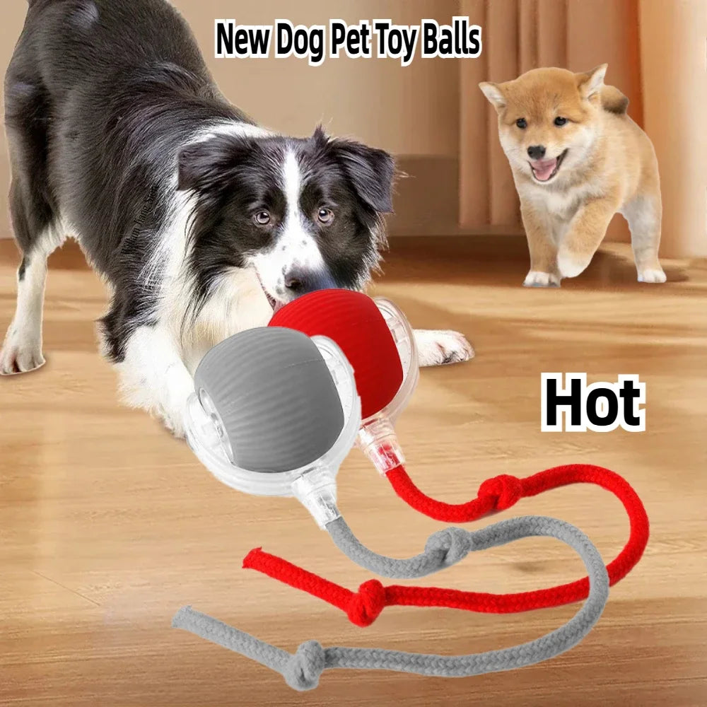 TailChaser Smart Pet Interactive Automatic Rolling Ball