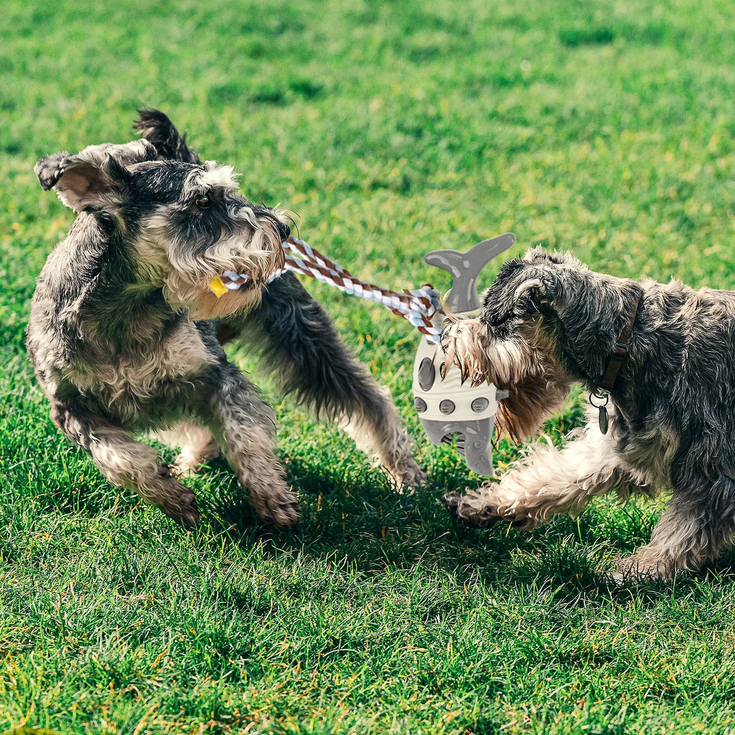 Jaws N' Paws Rope Feeder Chew Toy