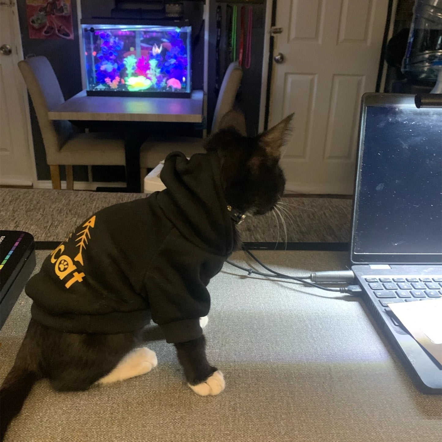 GoldenPaw "Adicat" Couture Cat Hoodie