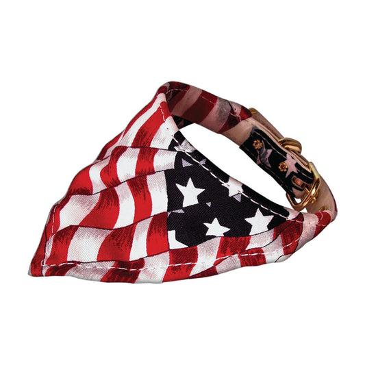 "America the Beautiful" Pet & Dog Bandana Collar