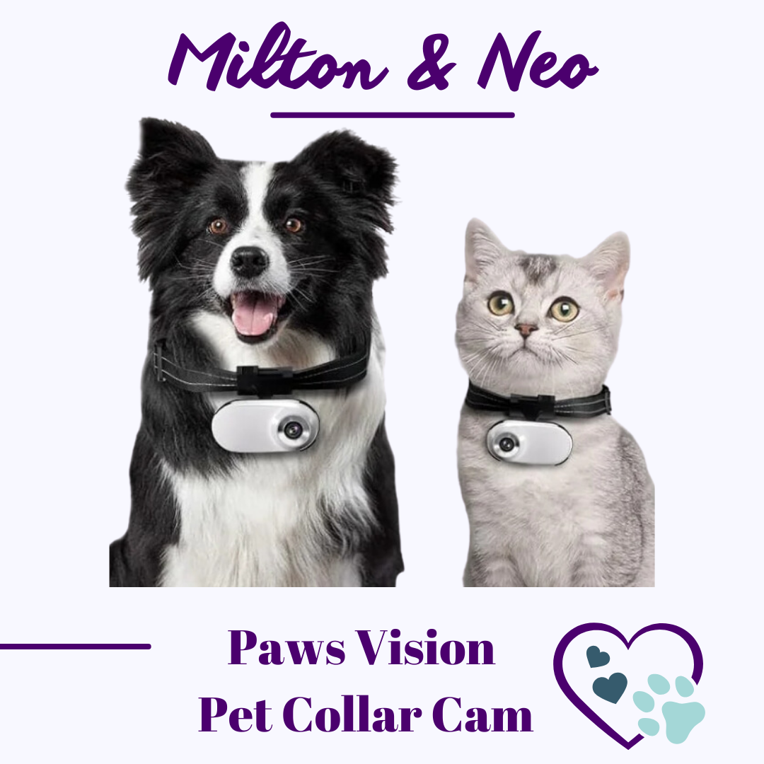 PawsVision Pet Collar Cam 2.0